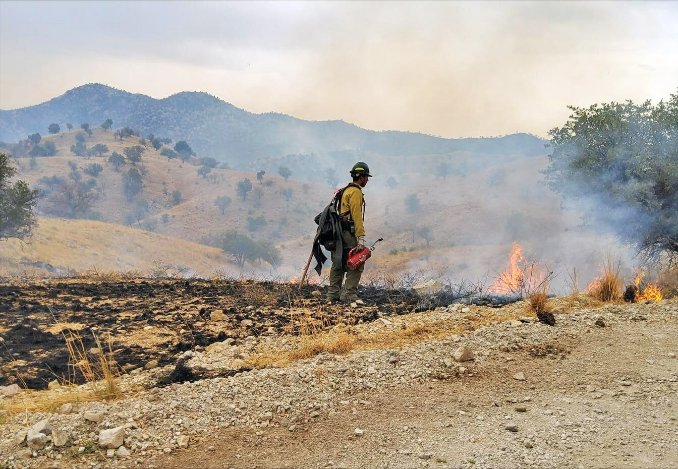 Alamo Fire